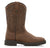 WHISKEY/DK CASHEW/DK BROWN